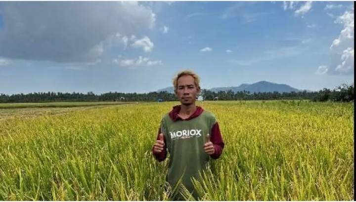 Petani Muda Sambas Panen 9,6 Ton per Hektare, Bukti Inovasi Dan Ketekunan Di Sawah